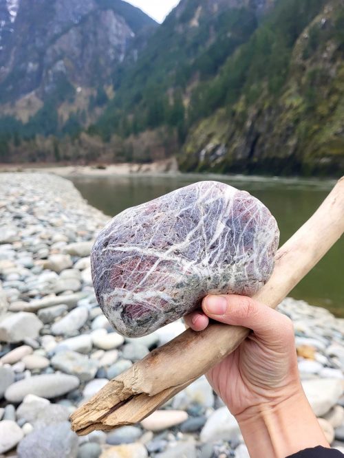 A jasper rock with quartz webbing. Unique specimen in hand. Many different types of minerals can be found while rockhounding in BC, Canada